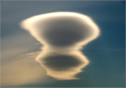 Shaped Lenticular